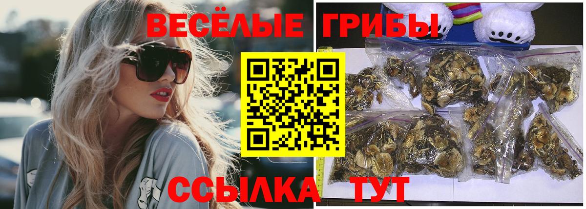 купить наркоту  Вход с VPN  Псилоцибиновые грибы GOLDEN TEACHER  Сафоново  Псилоцибиновые грибы мухоморы 